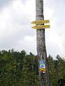Kellerwald (3)